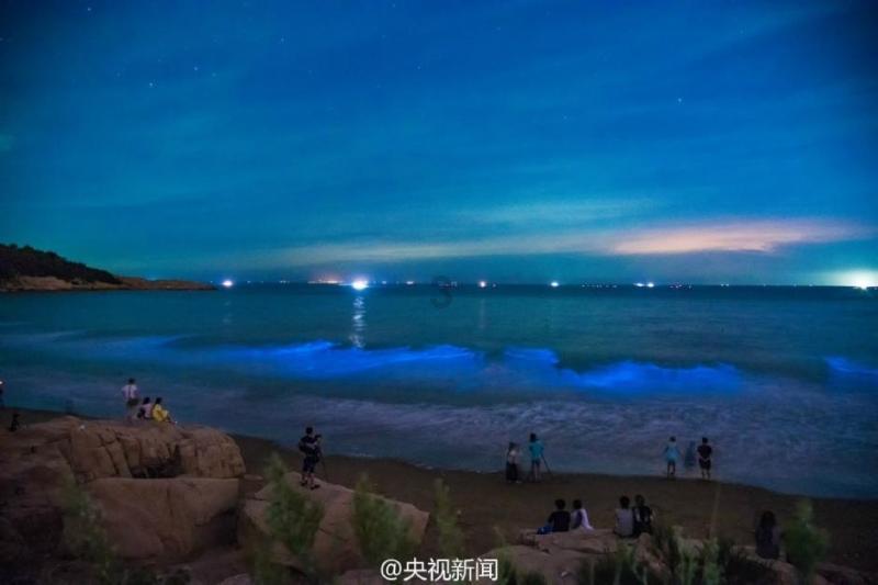 无休止的树