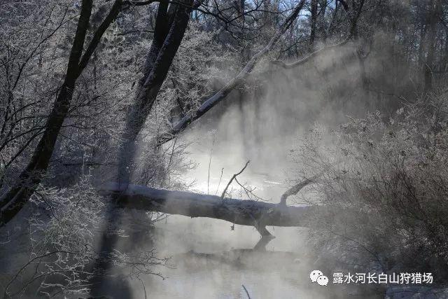 水果甜心经典版