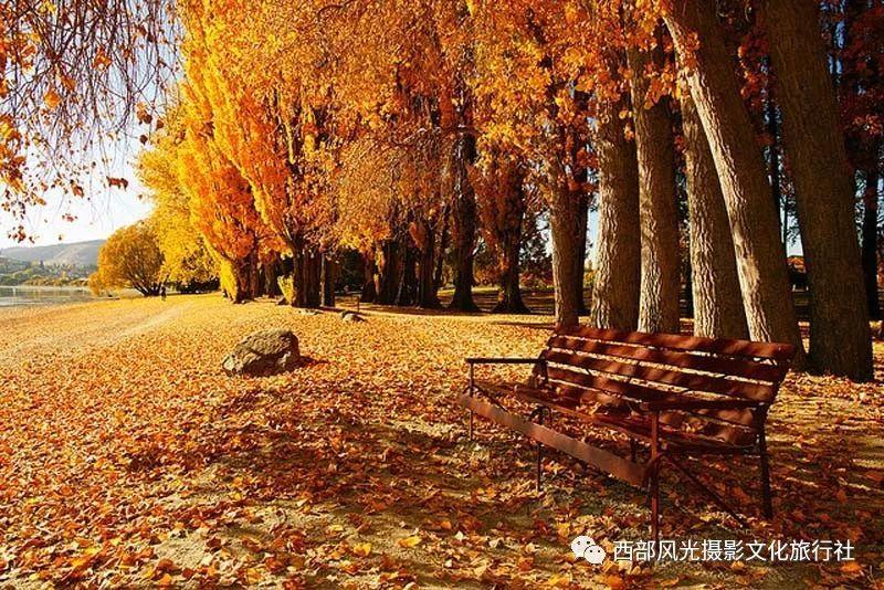 陌生人之间怎样创造话题?游戏画面
