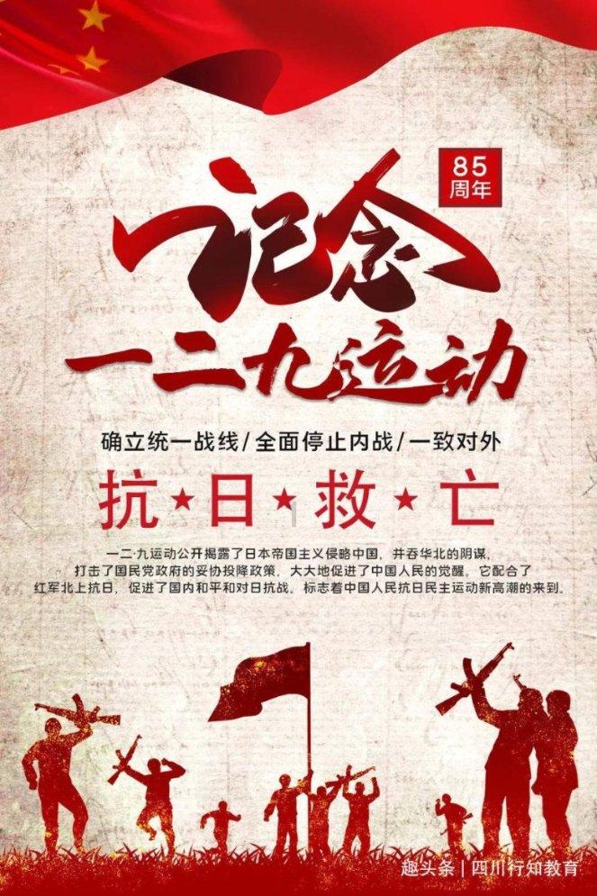 解析原发免疫性血小板减少症:病因、症状与治疗探析