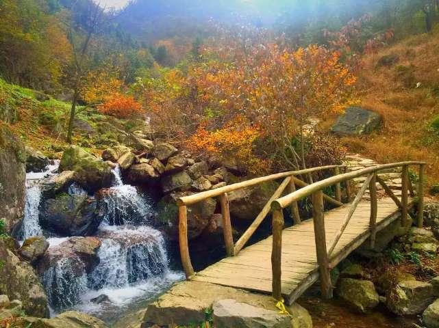 救援深海动物