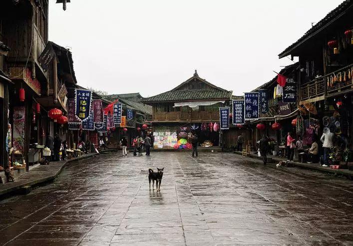救援飞行员