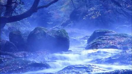 东莞重塑镇域经济:首个百亿村诞生,长安今年冲刺全省第3个千亿镇|聚焦东莞两会